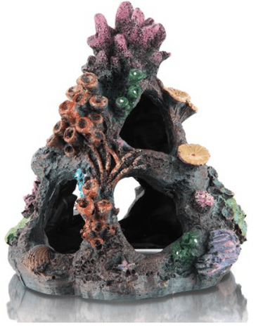 Aquarium Coral Fish Tank