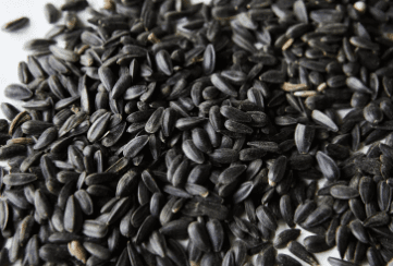 Black Oil for Birds