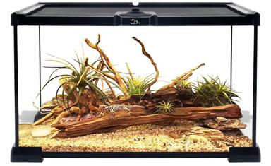 Reptile Growth Terrarium