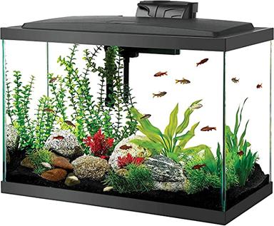 Aqueon Aquarium Fish Tank