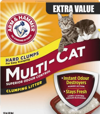 Cat Litter